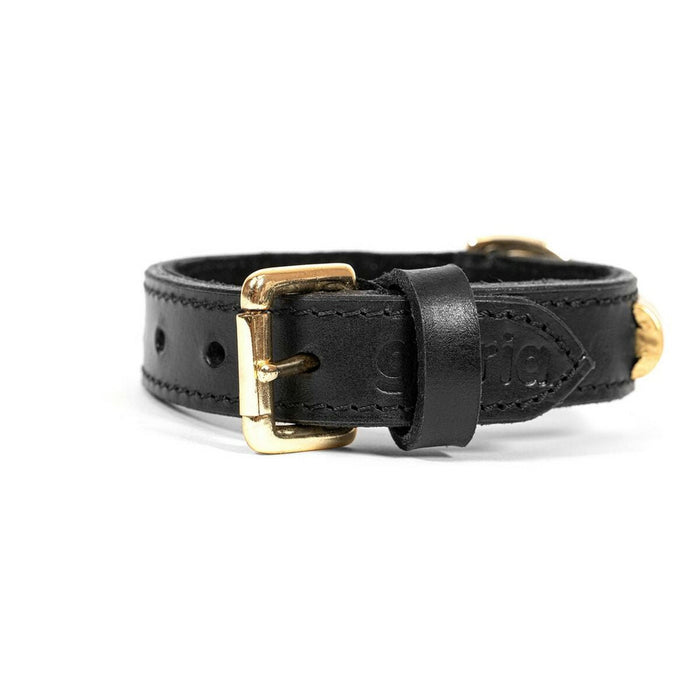 Dog collar Gloria Duna Black Golden (60 x 2.5 cm) - VMX PETS