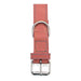 Dog collar Gloria Oasis Pink (1,5 x 40 cm) - VMX PETS