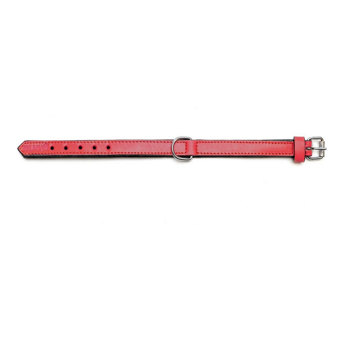 Dog collar Gloria Padded Red (35 x 1,5 cm) - VMX PETS