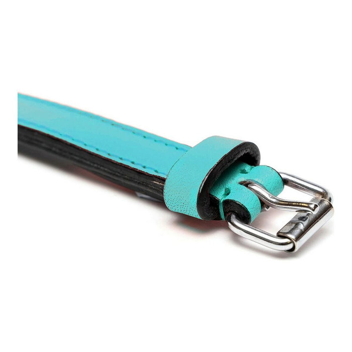 Dog collar Gloria Padded Turquoise 40 cm (40 x 2 cm) - VMX PETS