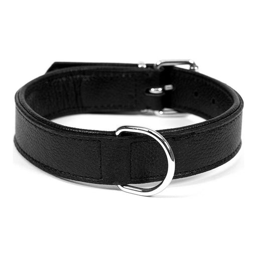 Dog Collar Gloria Drymilled (Copy) - VMX PETS