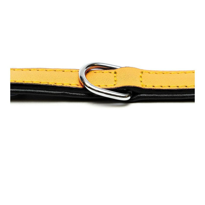 Dog collar Gloria Padded Yellow (50 x 2,5 cm) - VMX PETS