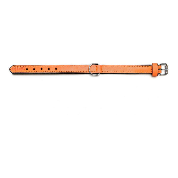 Dog collar Gloria Padded Orange (55 x 2,5 cm) - VMX PETS