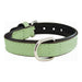 Dog collar Gloria Padded Green (45 x 2 cm) - VMX PETS