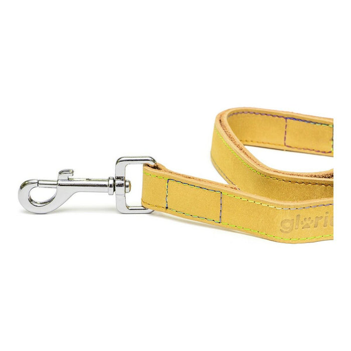 Dog Lead Gloria Oasis 1.5 x 100 cm Yellow - VMX PETS