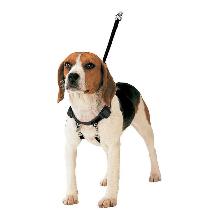 Gloria Black Dog Harness