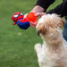 Spider-Man Red Blue Dog Toy (Copy) - VMX PETS