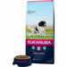 Eukanuba Fodder For Dogs (Copy) - VMX PETS