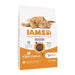 IAMS Advanced Nutrition Cat Food (10 kg) (Copy) - VMX PETS - IAMS