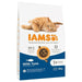 IAMS Advanced Nutrition Cat Food (10 kg) (Copy) - VMX PETS - IAMS