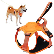 All-in-One Dog Harness & Retractable Leash - VMX PETS - VMX PETS