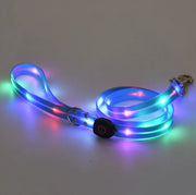 Rechargeable LED Pet Collar with Nylon Leash - VMX PETS - VMX PETS