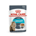 Royal Canin Cat Wet Food (Copy) - VMX PETS