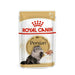 Royal Canin Cat Wet Food (Copy) - VMX PETS