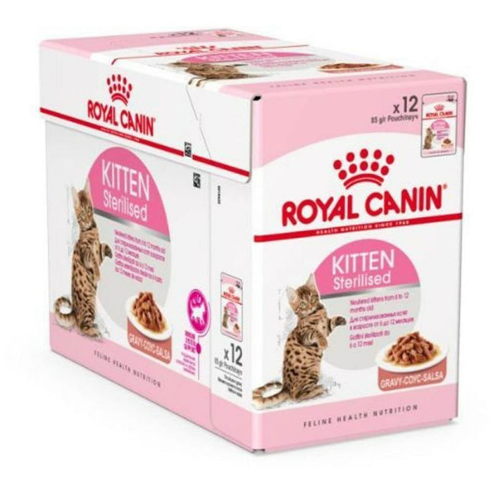 Royal Canin Cat Wet Food (Copy) - VMX PETS