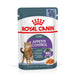 Royal Canin Cat Wet Food (Copy) - VMX PETS