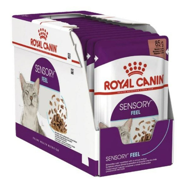 Royal Canin Cat Wet Food (Copy) - VMX PETS