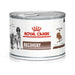 Royal Canin Wet Food (Can) (Copy) - VMX PETS