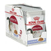 Royal Canin Cat Wet Food (Copy) - VMX PETS