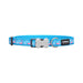 Red Dingo Dogs Collar (Copy) - VMX PETS