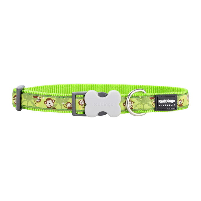 Red Dingo Dogs Collar (Copy) - VMX PETS