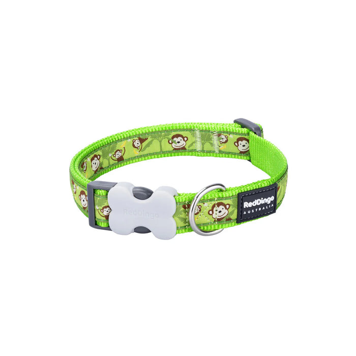 Red Dingo Dogs Collar (Copy) - VMX PETS