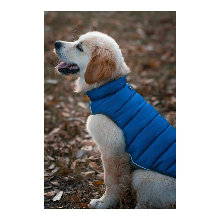 Red Dingo Puffer Dog Coat (Copy) - VMX PETS