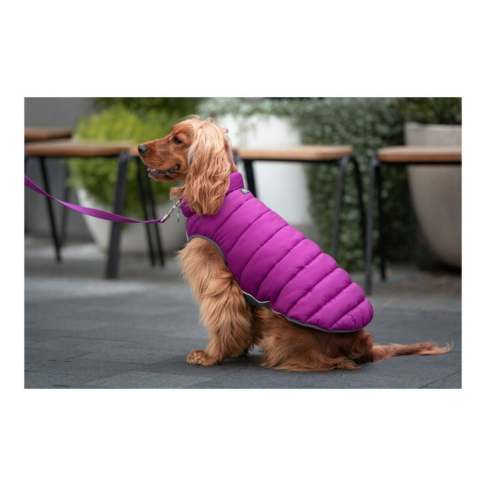 Red Dingo Puffer Dog Coat (Copy) - VMX PETS