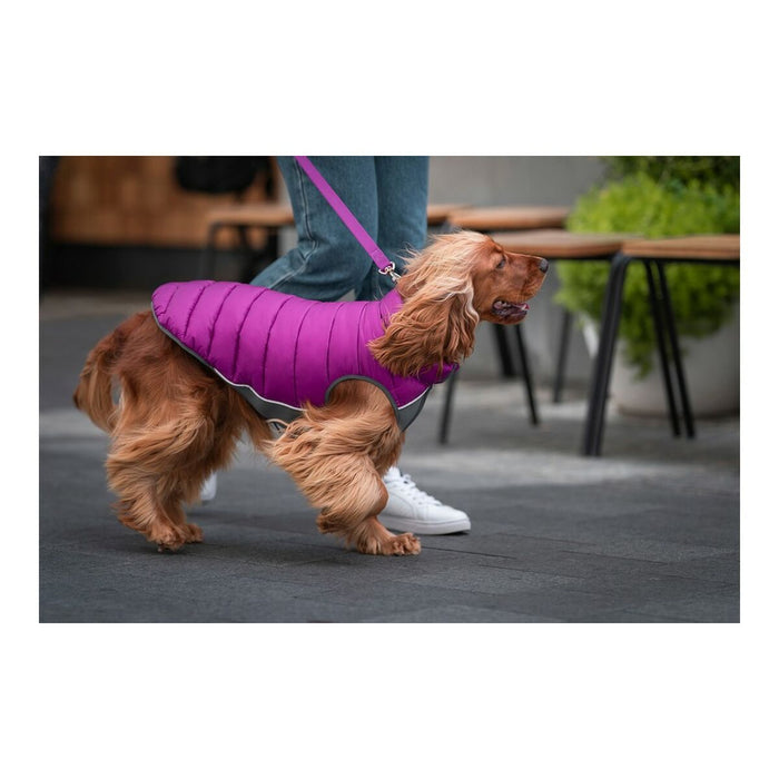 Red Dingo Puffer Dog Coat (Copy) - VMX PETS