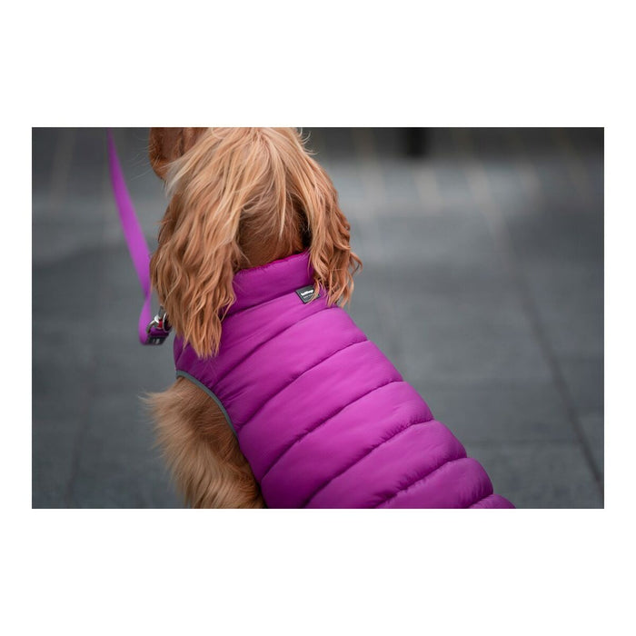 Red Dingo Puffer Dog Coat (Copy) - VMX PETS