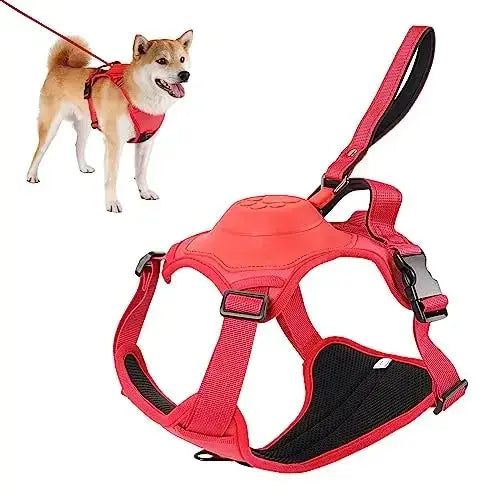 All-in-One Dog Harness & Retractable Leash - VMX PETS - VMX PETS