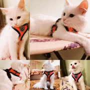 Pet Harness - VMX PETS - VMX PETS