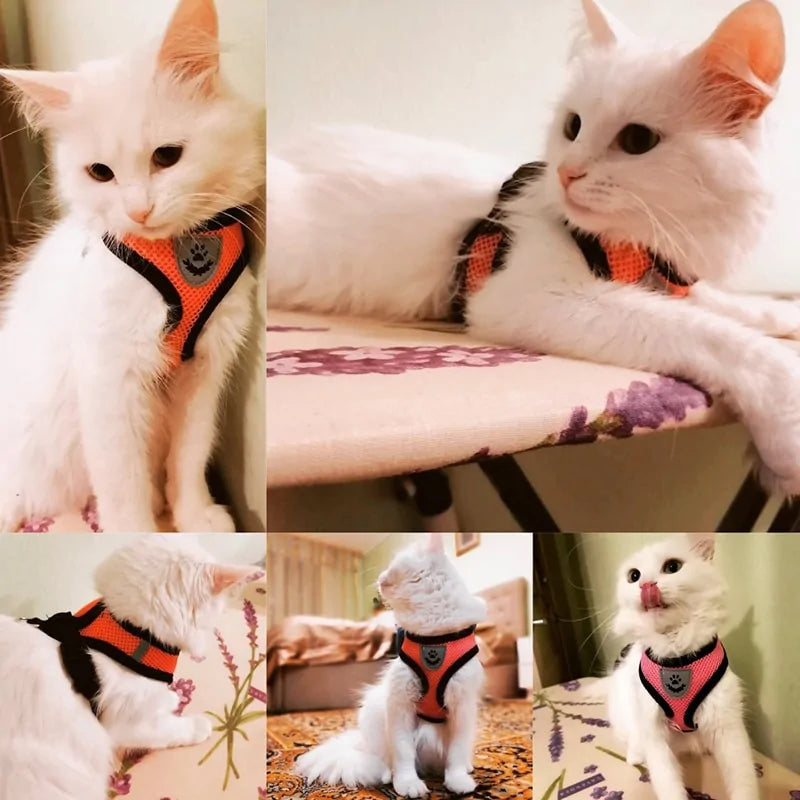Pet Harness - VMX PETS - VMX PETS