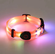 Rechargeable LED Pet Collar with Nylon Leash - VMX PETS - VMX PETS