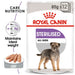 Royal Canin Wet Food (Bag) (Copy) - VMX PETS