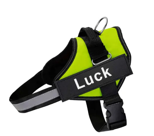 K9 Pet Leash and Harness - VMX PETS - VMX PETS