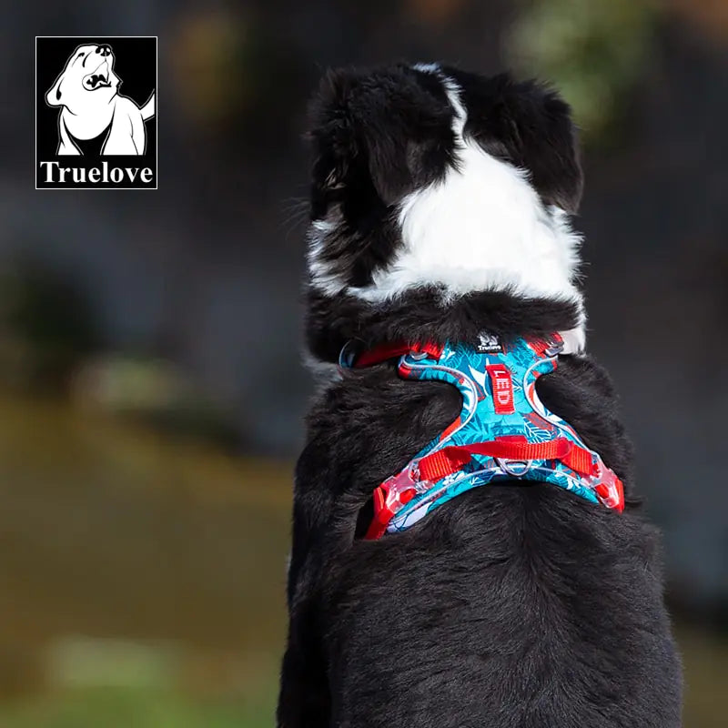 Truelove Pet Harness - VMX PETS - VMX PETS