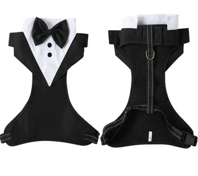 Anti-Break Escape-Proof Pet Harness & Leash Set - VMX PETS - VMX PETS