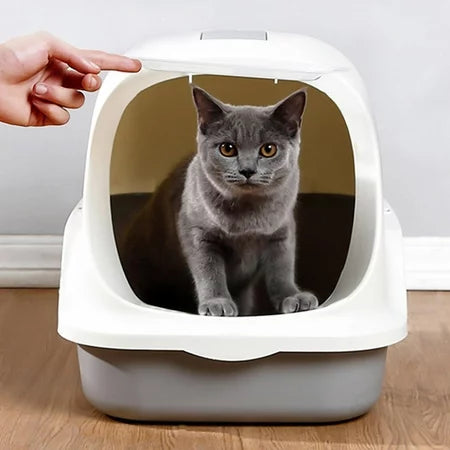 Litières pour chats