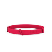 Pro Guard Pet Collar - VMX PETS
