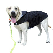 WeatherWise Pet Raincoat - VMX PETS