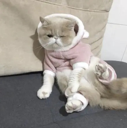 Blue Cat British Shorthair Pet Winter Outfit - VMX PETS - VMX PETS