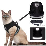 Cozy Cat Pet Harness And Leash - VMX PETS - VMX PETS