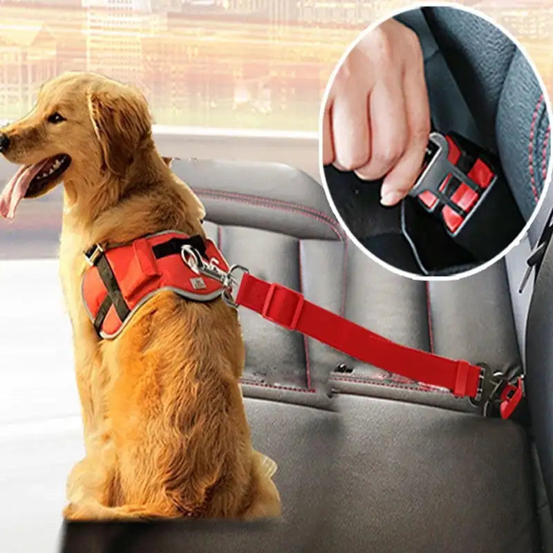 Telescopic Traction Rope For Pet Car Seat Belt - VMX PETS - VMX PETS