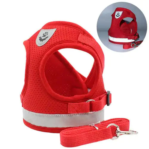 Cozy Cat Pet Harness And Leash - VMX PETS - VMX PETS