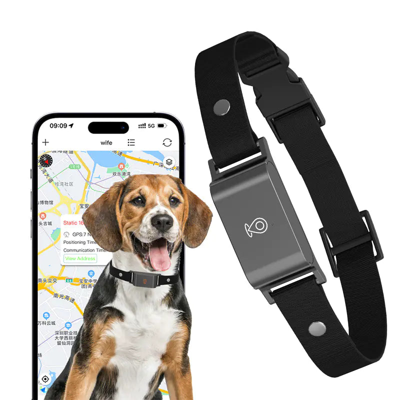 Pet Global Positioning Collar – Real-Time Tracking Locator - VMX PETS - VMX PETS