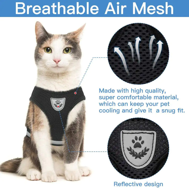 Cozy Cat Pet Harness And Leash - VMX PETS - VMX PETS