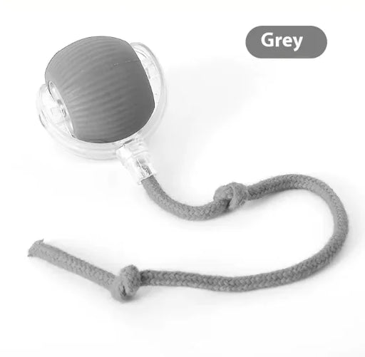 Interactive Cat Toy Ball Super Drive Cat Rolling Balls With Bird Chirping Motion Activated Sensor Pets Kitten Teaser Game Toys Pet Products - VMX PETS - VMX PETS