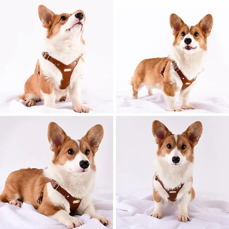 Adjustable Leather Pet Harness Vest - VMX PETS - VMX PETS