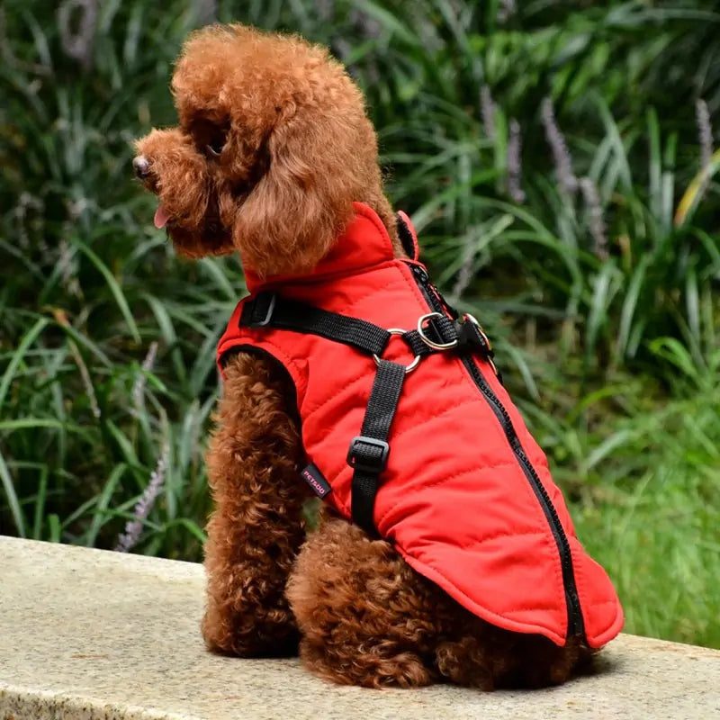 Waterproof Pet Coat with Harness - VMX PETS - VMX PETS
